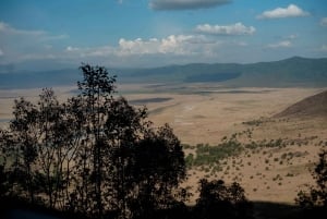 Arusha: 2-tägige Safari zum Manyara-See und Ngorongoro-Krater