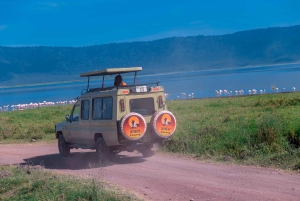 Arusha: 3-daagse vogelsafari met accommodatie en maaltijden
