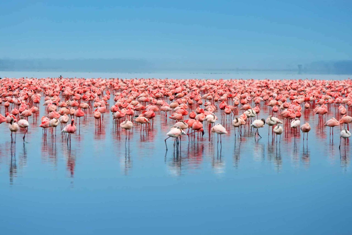 Arusha: 3-Day Lake Eyasi Trip and Safari