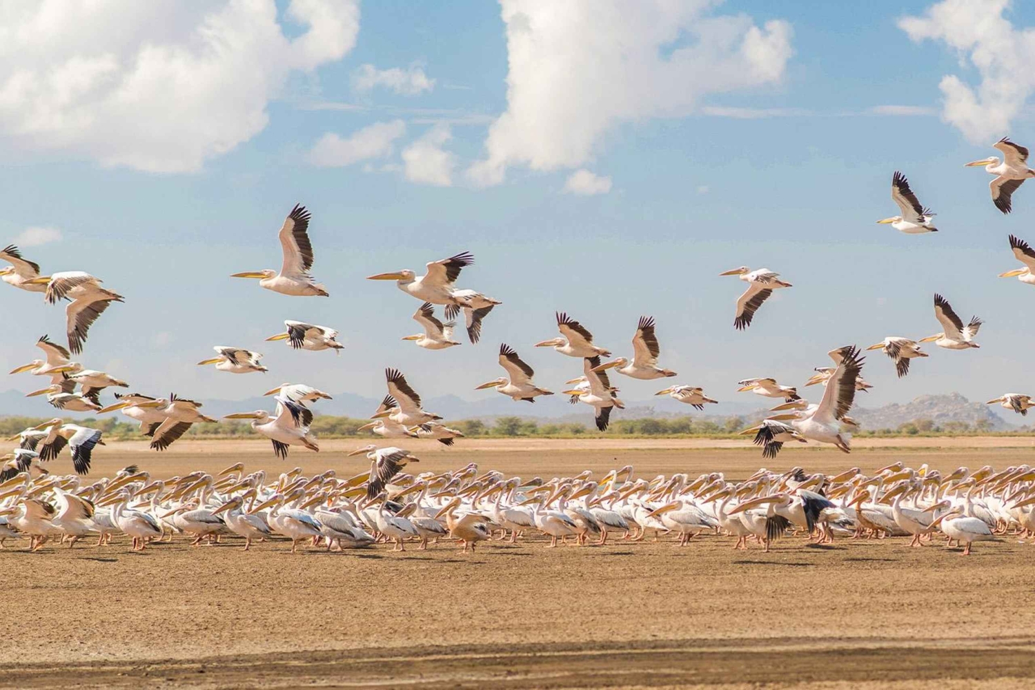 Arusha: 3-Day Lake Eyasi Trip and Safari