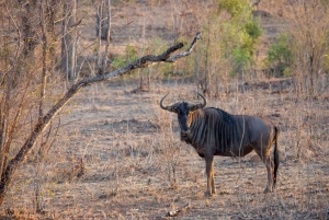 Arusha: 3-Day Lake Eyasi Trip and Safari