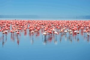 Arusha: 3-Day Lake Eyasi Trip and Safari