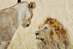 Arusha: Safari di 3 giorni alle cascate Materuni e Tarangire