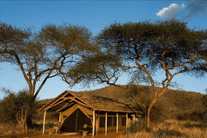 アルーシャ発：3日間ムコマジ国立公園＆マサイ村ツアー