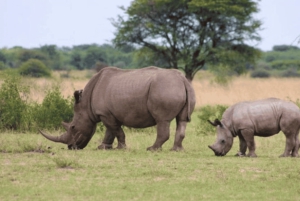 アルーシャ発：3日間ムコマジ国立公園＆マサイ村ツアー