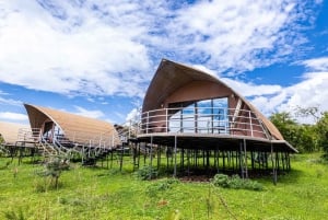 Аруша: 3-дневное сафари по кратеру Нгоронгоро с перелетами