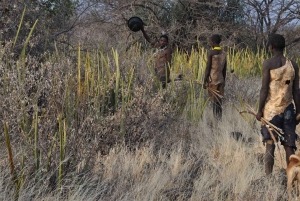 Arusha: 3-Day Safari to Tarangire, Lake Eyasi & Ngorongoro