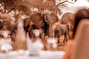 Arusha: Safari de 3 días a Tarangire, Lago Manyara y Ngorongoro