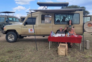 Arusza: 3-dniowe safari w Tarangire, Ngorongoro i Manyara