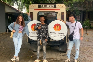 Arusza: 3-dniowe safari w Tarangire, Ngorongoro i Manyara