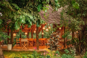 3-Day Safari to Tarangire, Ngorongoro, & Kilimanjaro