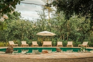3-Day Safari to Tarangire, Ngorongoro, & Kilimanjaro