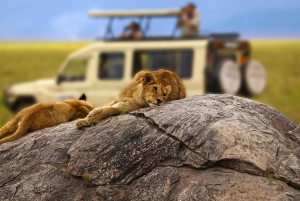 3-Day Safari to Tarangire, Ngorongoro, & Kilimanjaro