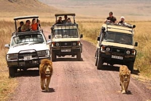 3-Day Safari to Tarangire, Ngorongoro, & Kilimanjaro