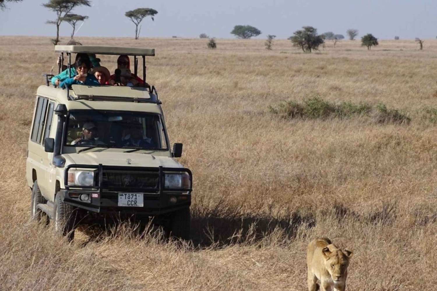 Arusha: 3-dages safari til Tarangire, Ngorongoro og Manyara-søen