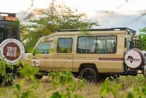 Arusha: 3-dages safari