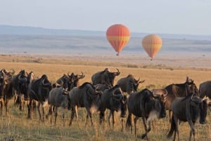 Arusha: 3-Day Serengeti Hot Air Balloon Safari & Flights