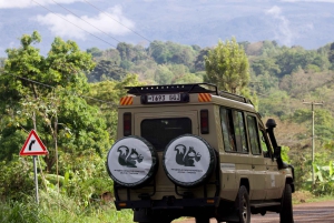 Arusha: 3-Day Serengeti Hot Air Balloon Safari & Flights