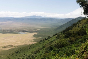 Arusha: 3 päivän Serengeti & Ngorongoro safariseikkailu