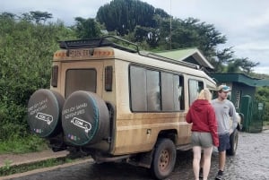 Arusha: 3-tägige Serengeti-, Ngorongoro- und Tarangire-Safari