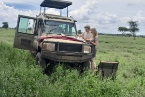 Arusha: 3-tägige Serengeti-, Ngorongoro- und Tarangire-Safari