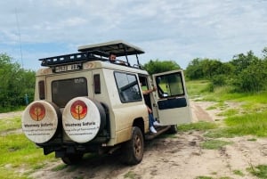 Arusha: Safári de 3 dias no Serengeti com alojamento