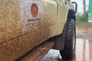 Arusha: Safári de 3 dias no Serengeti com alojamento