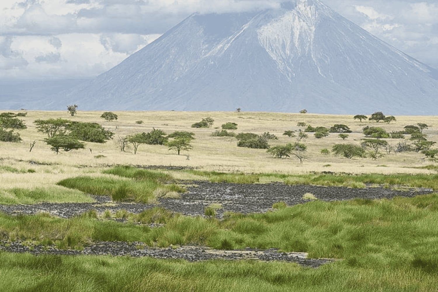 Arusha: 3-dniowa wycieczka do Parku Narodowego Tarangire i jeziora Natron