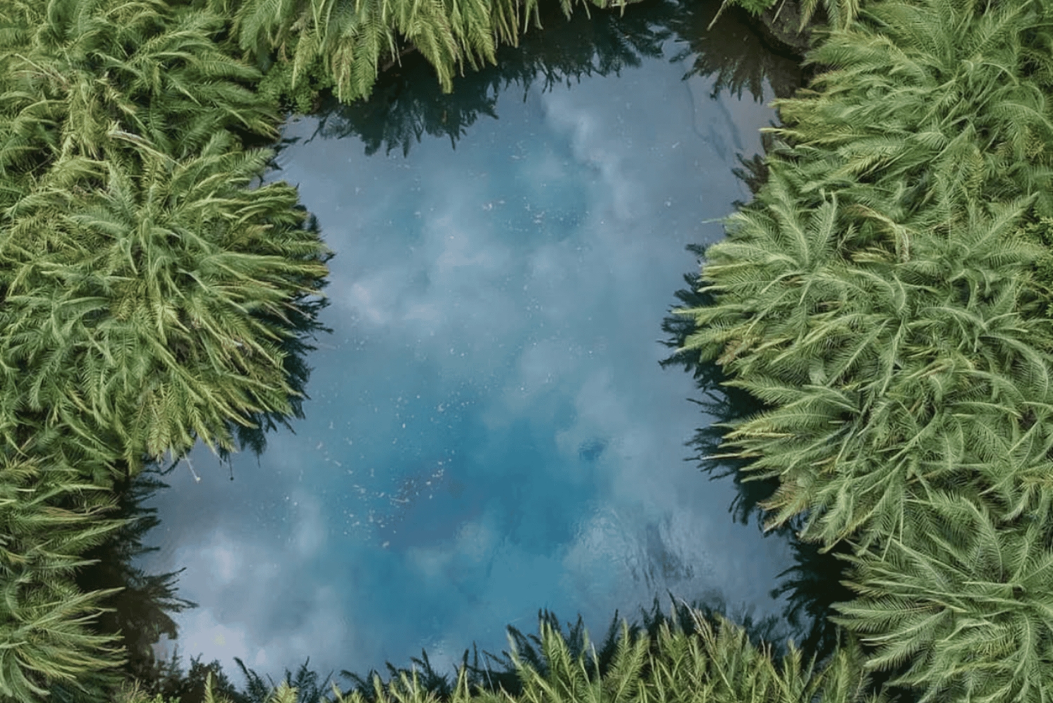 Arusha: 3-Day Tarangire Safari & Kikuletwa Hot Springs