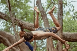 Arusha: 3-Day Tarangire Safari & Kikuletwa Hot Springs