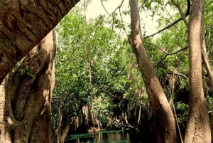 Arusha: 3-Day Tarangire Safari & Kikuletwa Hot Springs