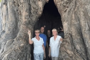 Arusha: 3-Day Tarangire Safari & Kikuletwa Hot Springs