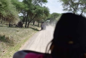 Arusha:3 Days Safari to Tarangire, Ngorongoro & Lake Manyara