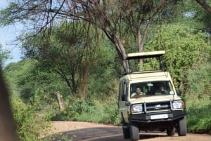 Arusha:3 Days Safari to Tarangire, Ngorongoro & Lake Manyara