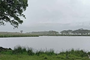 Arusha:3 Days Safari to Tarangire, Ngorongoro & Lake Manyara