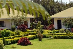 Arusha:3 Days Safari to Tarangire, Ngorongoro & Lake Manyara