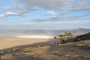 Arusha:3 Days Safari to Tarangire, Ngorongoro & Lake Manyara