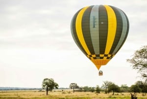 Arusha: 4-dagars safari med de fem stora och fantastisk ballongupplevelse