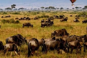 Arusha: 4-dagars safari med de fem stora och fantastisk ballongupplevelse