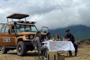 Arusha : safari de 4 jours en milieu de gamme avec hébergement