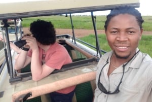 Arusha : safari de 4 jours en milieu de gamme avec hébergement