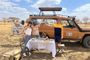 Arusha: 4-daagse safaritocht met accommodatie in het middensegment