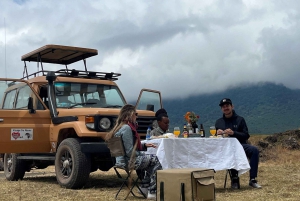 Arusha: 4-daagse safaritocht met accommodatie in het middensegment