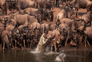 Arusha: safari de 4 días de gama media con alojamiento.