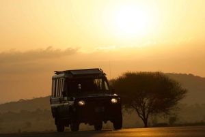 4-dages camping-safari i Serengeti og Ngorongoro