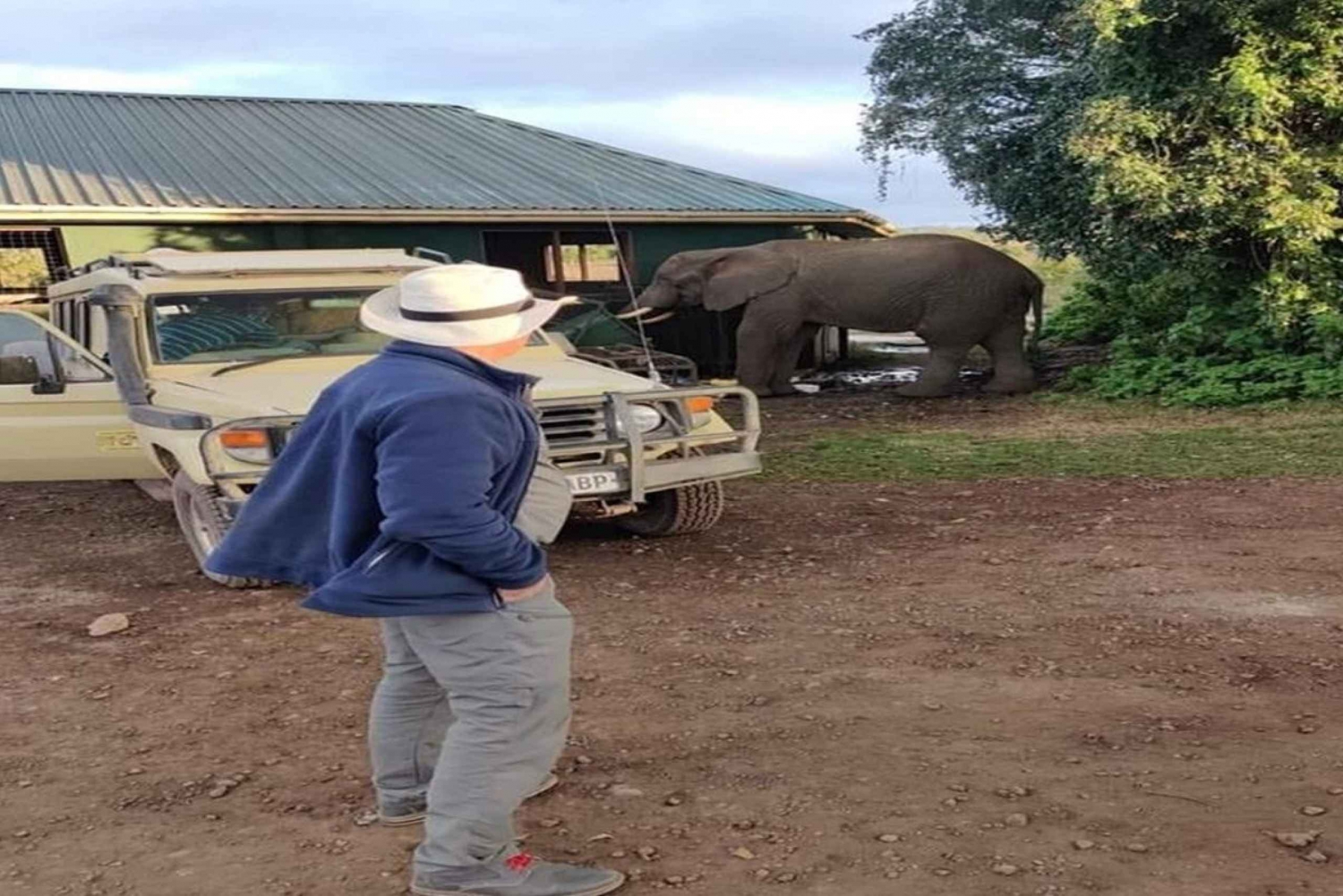 Arusha: 4-daagse safari naar Tarangire, Serengeti en Ngorongoro