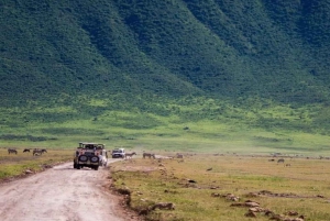 Arusha: 4-Day Safari to Tarangire, Serengeti, and Ngorongoro