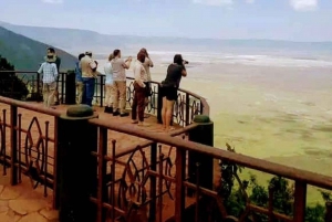 Arusha: 4-Day Safari to Tarangire, Serengeti, and Ngorongoro