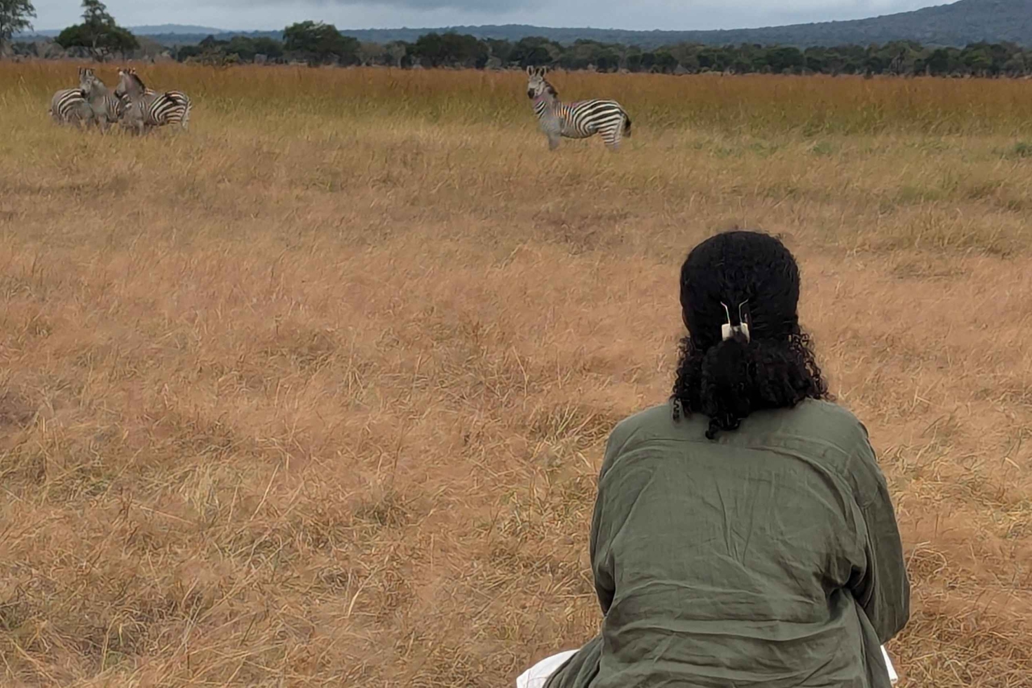 Arusha: 4 giorni di safari nel Serengeti e nel cratere del Ngorongoro