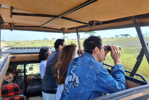 Arusha: 4-Day Tarangire Serengeti Ngorongoro Camping Safari
